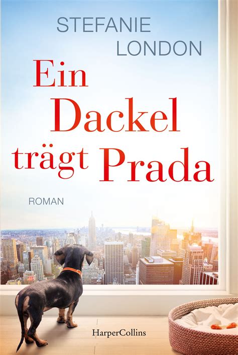 ein dackel trägt prada|Ein Dackel trägt Prada by Stefanie London .